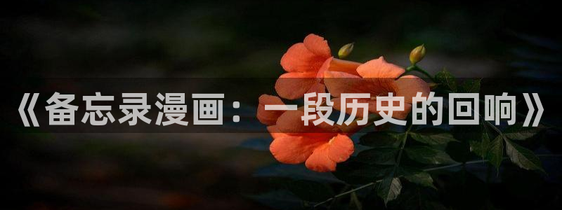 www.羞羞漫画在线观看：《备忘录漫画：一段历史的回响》